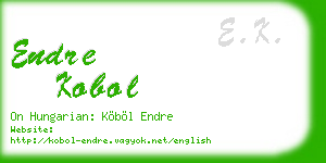 endre kobol business card